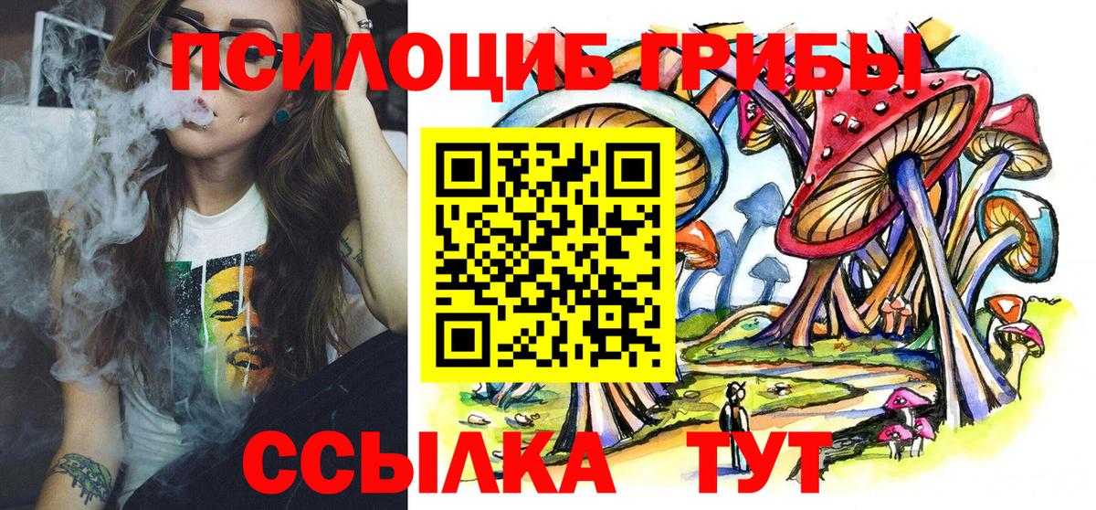 цена наркотик  Галлюциногенные грибы MAGIC MUSHROOMS  Вход с VPN  Моздок 